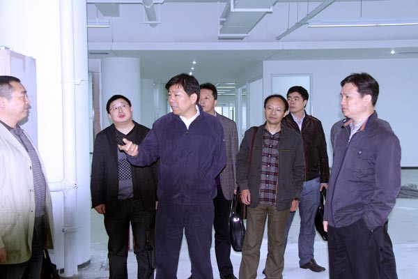 樓永良董事長(zhǎng)到裝飾集團(tuán)檢查工作